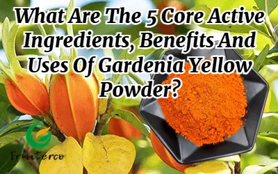 Apa 5 Bahan Aktif Inti, Manfaat Dan Kegunaan Bubuk Kuning Gardenia?