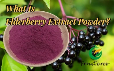 elderberry