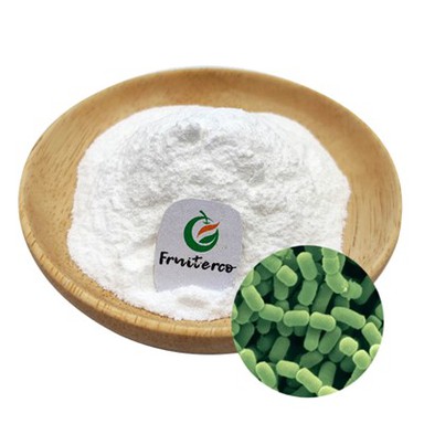 Lactobacillus fermentum probiotik