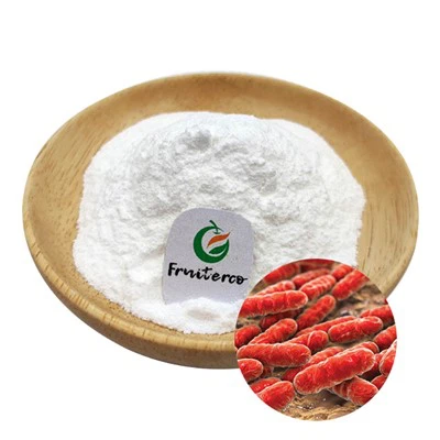 Bubuk lactobacillus rhamnosus probiotik