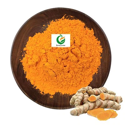 Bubuk curcumin murni